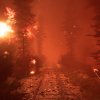 firefighers screenshot 15